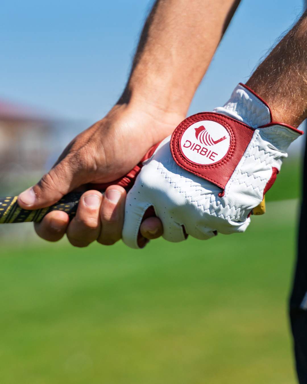 DAHOL | white | red |