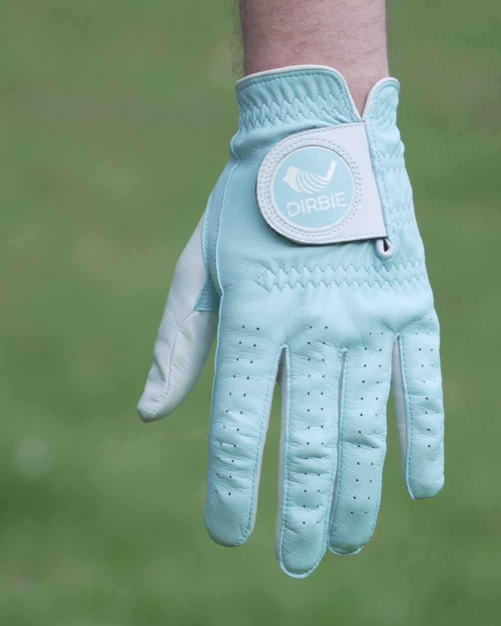 DAHOL | blue | white |